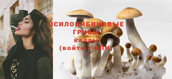 амф Алзамай