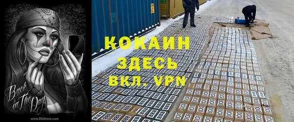 амф Алзамай