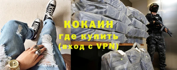 ешки Алексин