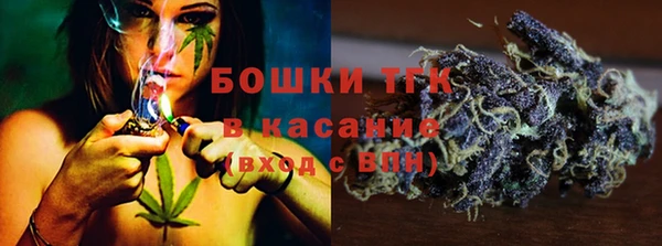 эйфоретик Осташков