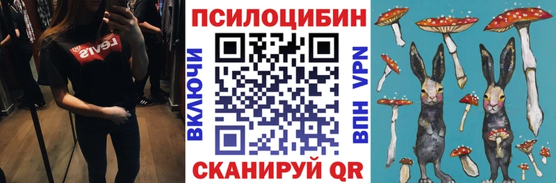 где купить наркотик  Углич  Псилоцибиновые грибы Psilocybe 